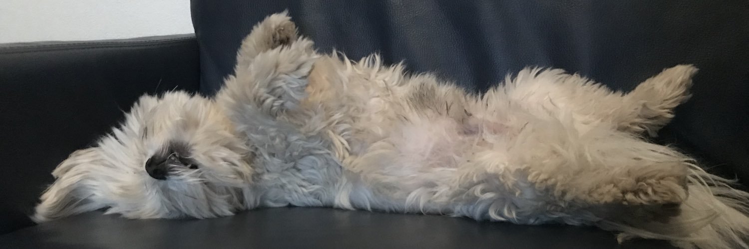 🅰️nette 📚 banner