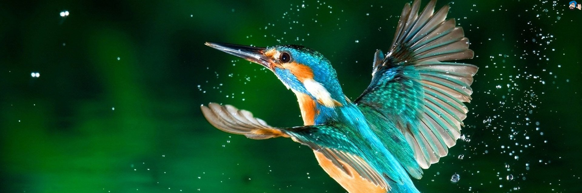 Purnendu03's profile banner image