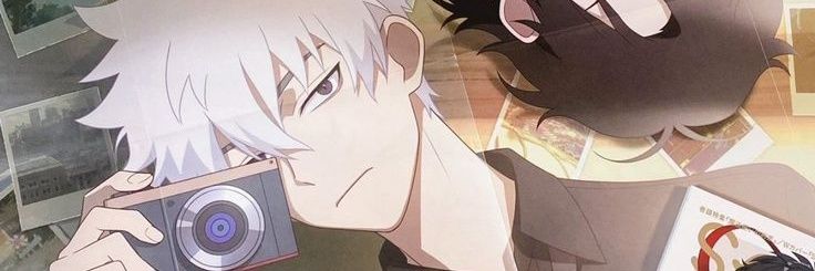 nina banner