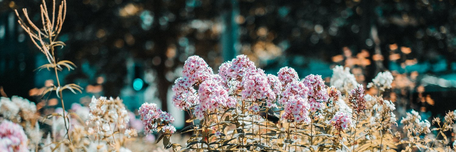 Stadt St.Gallen banner