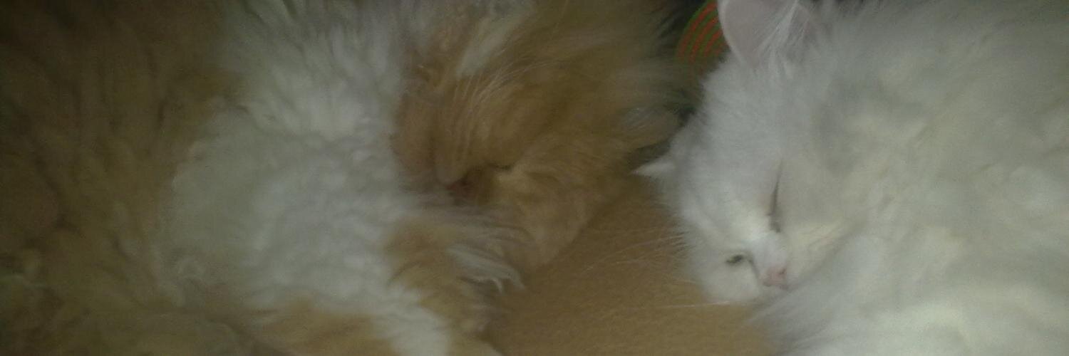 18fofo's profile banner image
