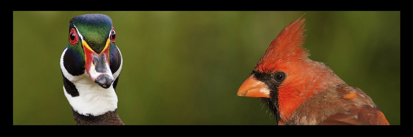 TheDigiscoper's profile banner image