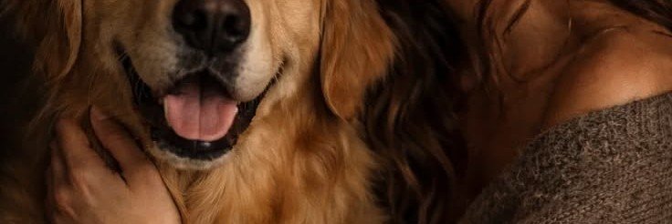sofiak9luv's profile banner image
