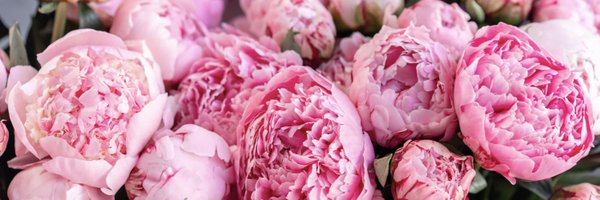 Lisa_Wilkinson Profile Banner