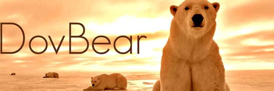 DovBear's profile banner image