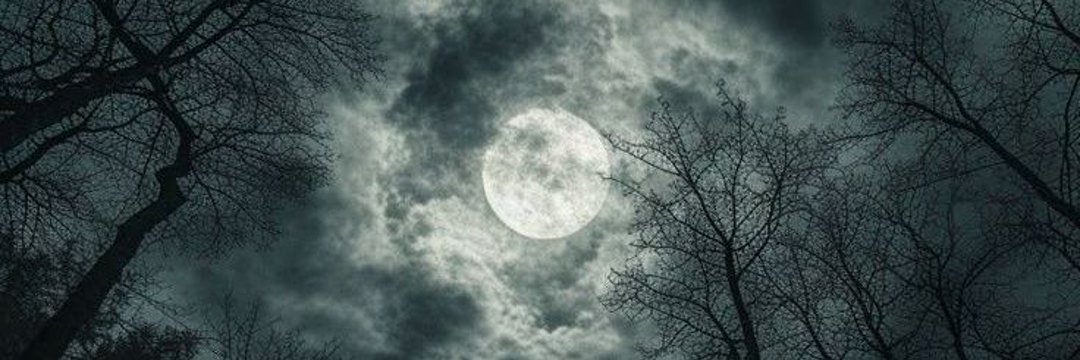 FemaleVampire41's profile banner image