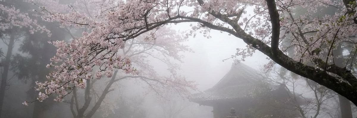 isen banner