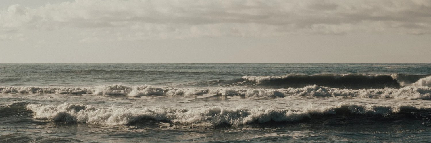 Tim Per banner