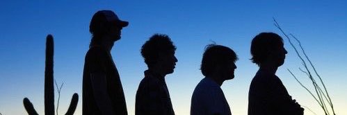 daily Animal Collective 🏳️‍🌈 banner