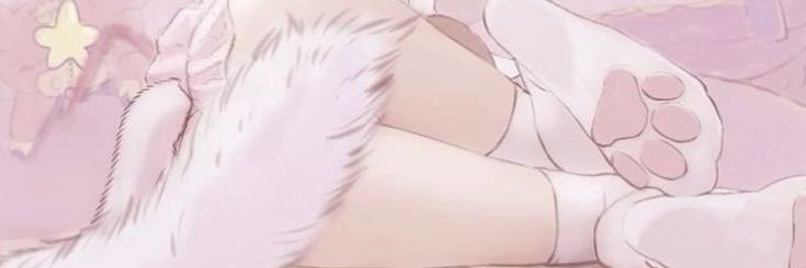 softlolaxo's profile banner image