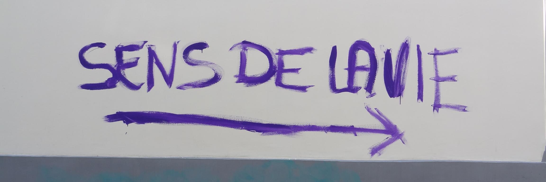 Sergio Sauce banner