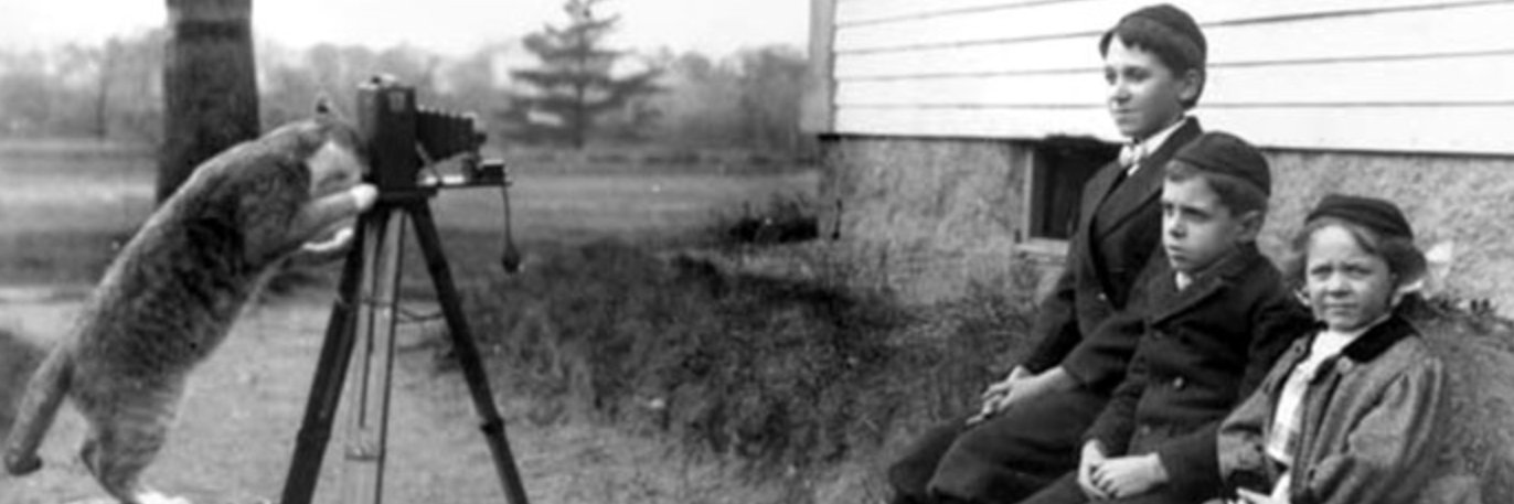 JoeyRedeye31's profile banner image