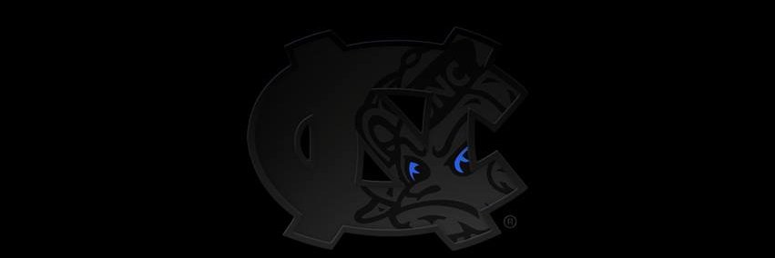 ShellyAnn banner