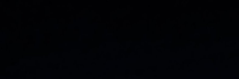 毒 banner