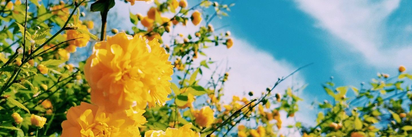 Destined627's profile banner image