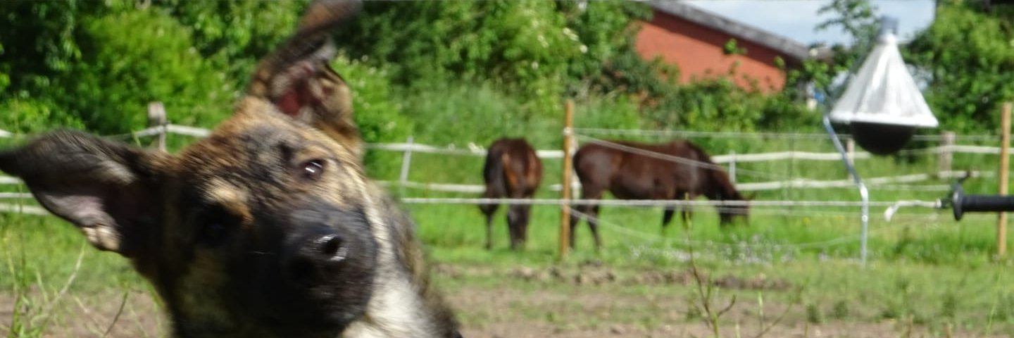 MattxWell's profile banner image