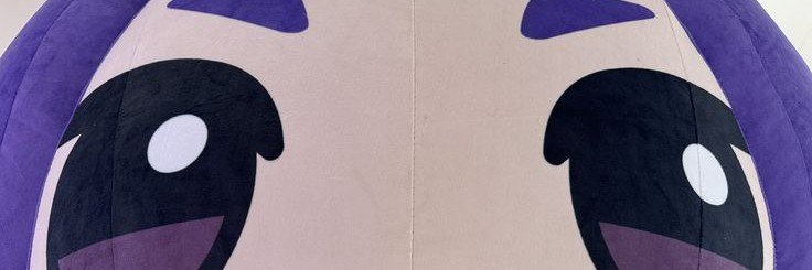 suki_canon's profile banner image