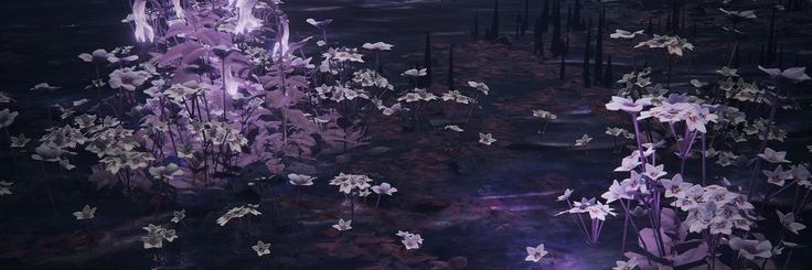 ؘ banner