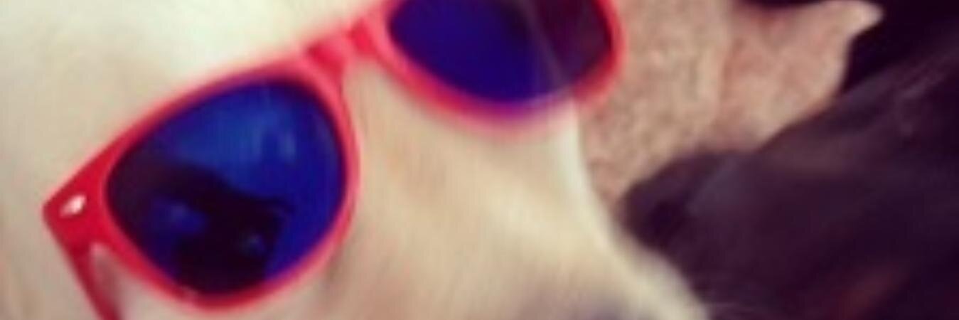 QuequeCenoura's profile banner image
