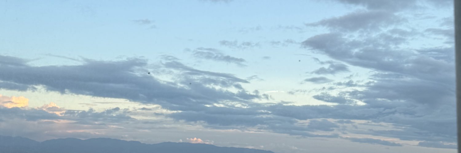 なし banner