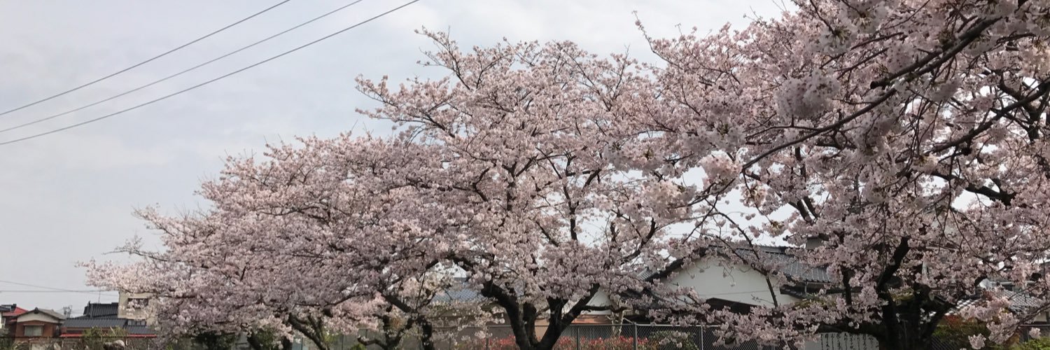 taachan01's profile banner image