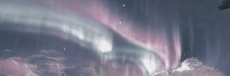 Lily banner