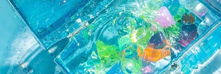 Akita 🌐🦐 banner