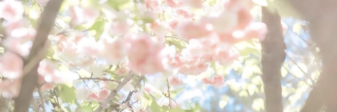 pime__ko03's profile banner image
