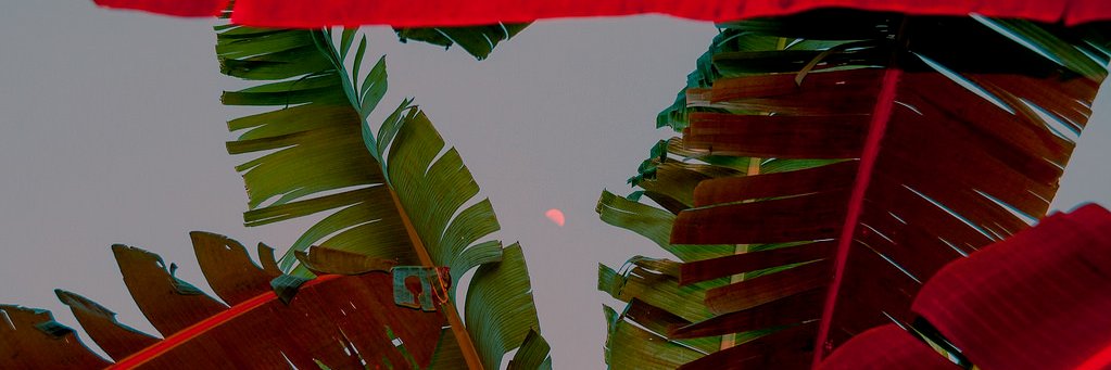 SEYMBEATS's profile banner image