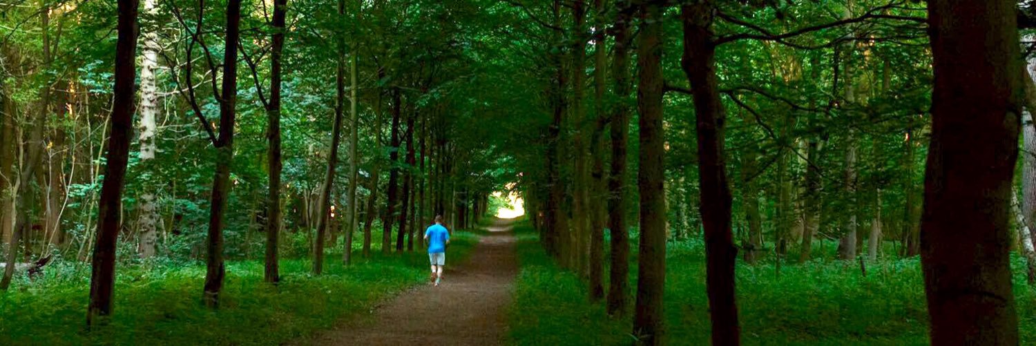 Burry78's profile banner image