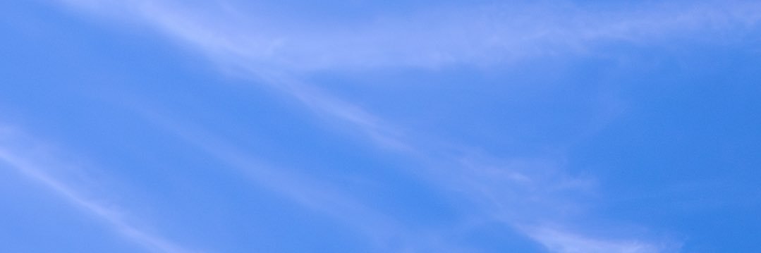 🌻夢アンソロジー banner