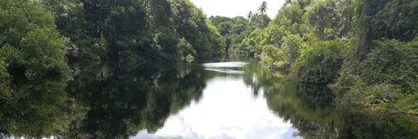 gsellett Profile Banner