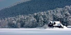 Ömer AKMANŞEN banner