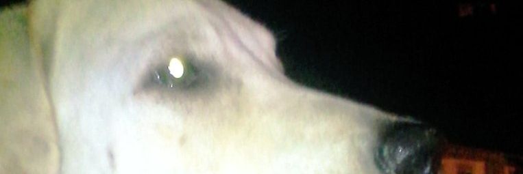 jahn_hn's profile banner image