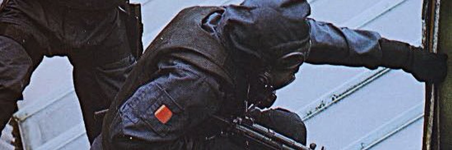 sanctus_fall's profile banner image