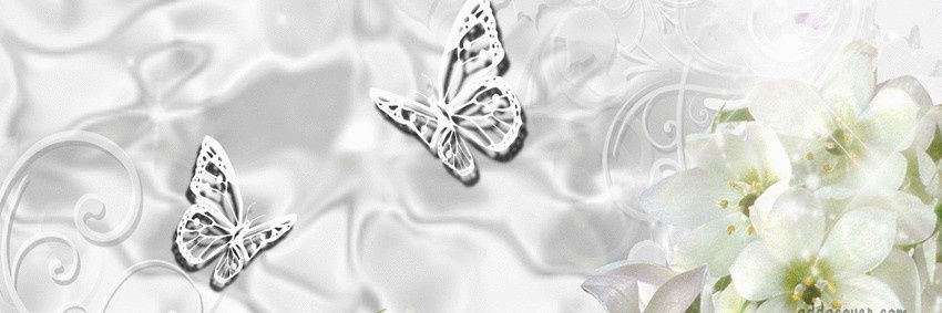 LiechenV's profile banner image