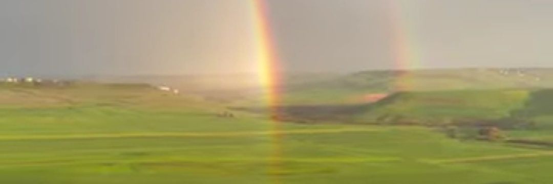 Olivia Dunham banner