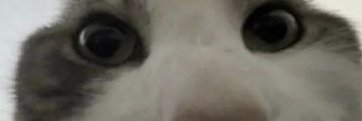 _emmjaay_'s profile banner image