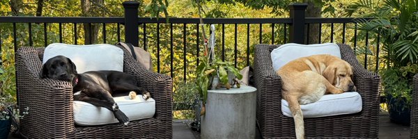 n8pennell Profile Banner