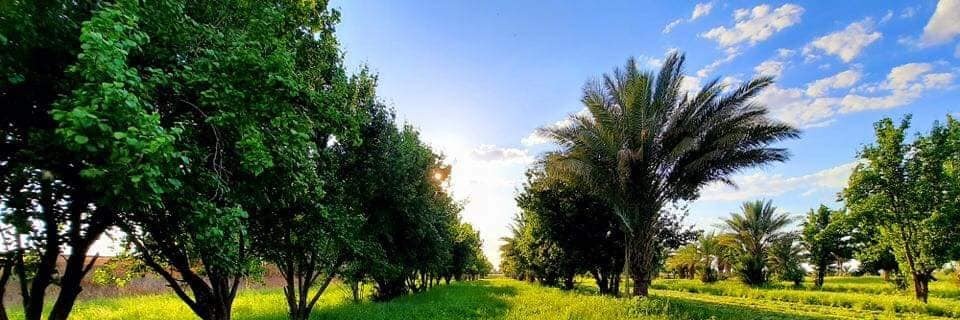 ahmadu_allah's profile banner image