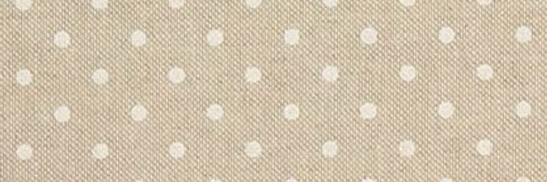 ˚୨୧⋆｡˚ ⋆ banner