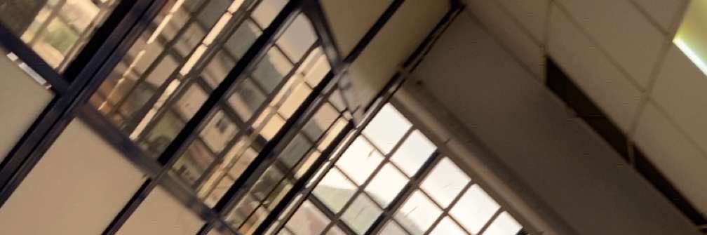 Dess banner