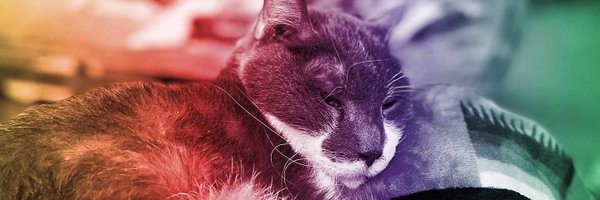 programwitch Profile Banner