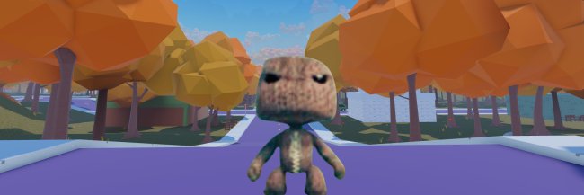 Sackboy banner