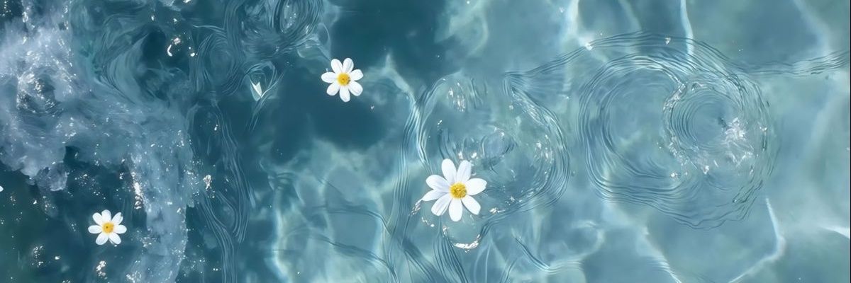ıᥕ ʚɞ banner