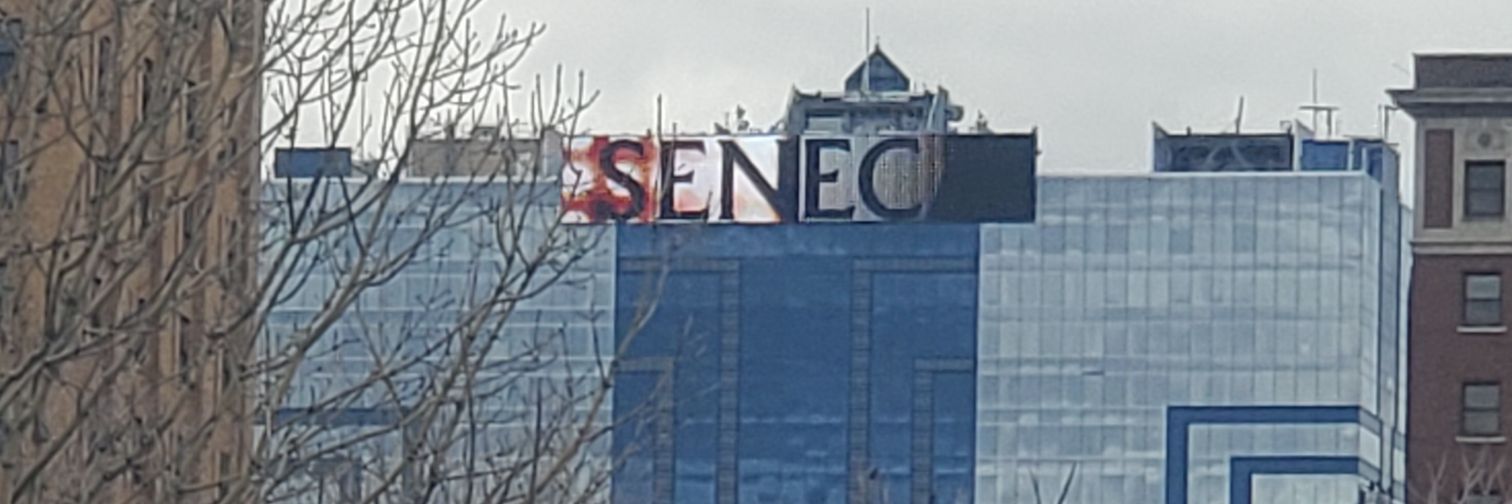 Senecaangel's profile banner image