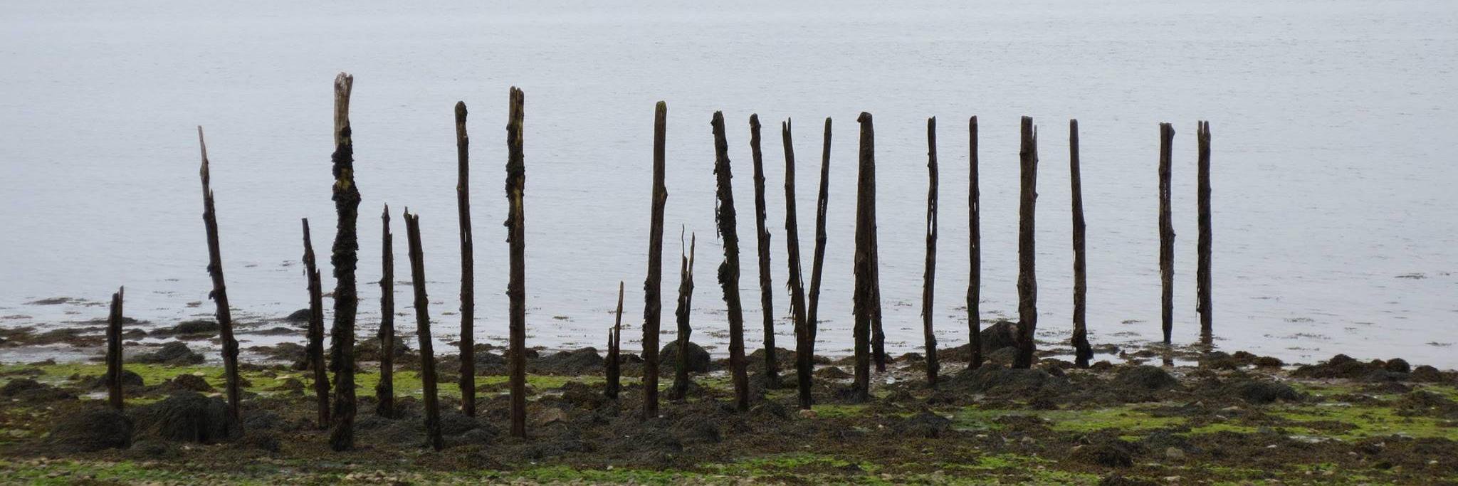 Shift New Brunswick banner