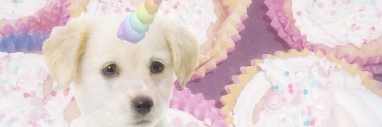 ki 🦌 banner