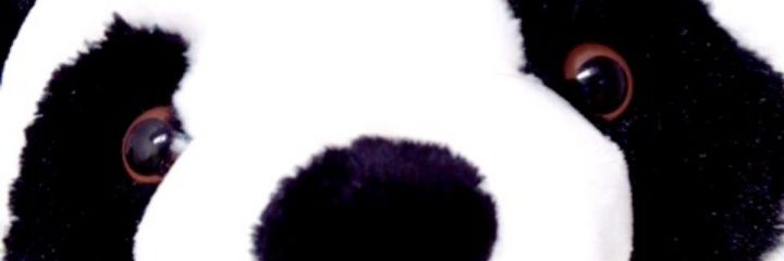 2aya3's profile banner image