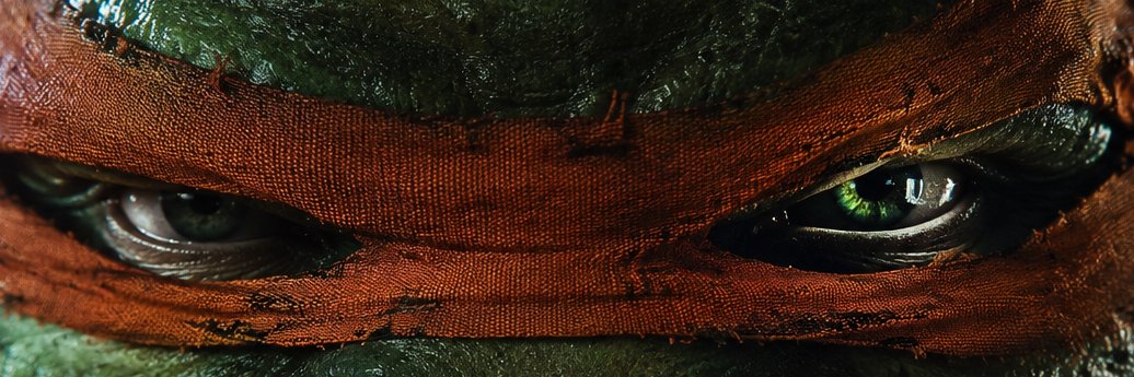 NinjaTurtle banner